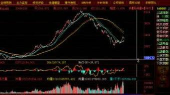 日韩在理论视频,文化交融与思想碰撞